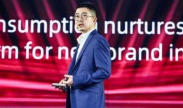 张大奕蒋凡最新爆料,揭秘电商巨头内部恩怨纠葛”