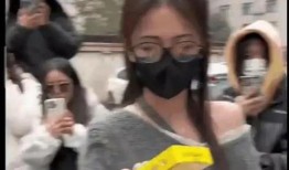 最新吃瓜爆料打架视频播放,打架视频引发热议，网友热议事件真相