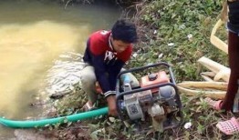 抓鱼视频爆料大全最新,揭秘水下奇观与神秘生物