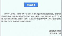河南教育局最新爆料信息,揭秘教育改革新动向与政策调整详情