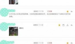 爆料最新消息,最新热点事件内幕大揭秘